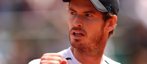 World number one tennis player Andy Murray. Photo by Twitter/@BritishTennis