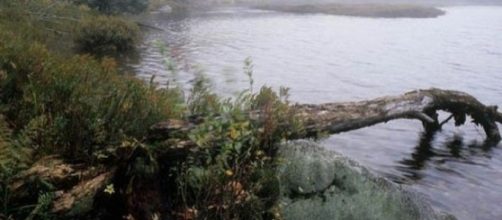 Glastenbury Mountain And The Bennington Triangle &ndash; Where Did All ... - metimeforthemind.com