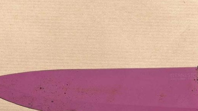 Ecco i coltelli viola, arma della strage di London Bridge