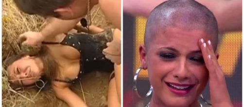 As panicats sofrem muito no programa