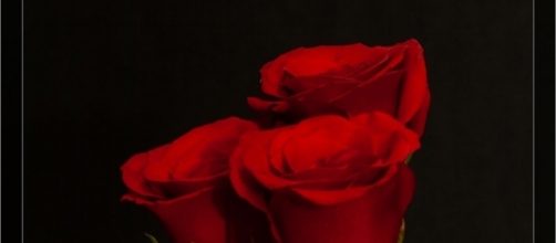 'The Bachelorette' 2017 spoilers (Photo Credit: Dinuaj K. via Flickr.com)