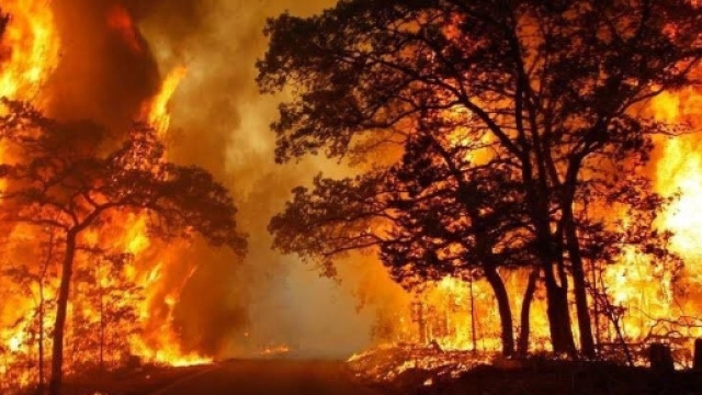 Incendi in Sicilia, &egrave; emergenza, roghi, fumo e tamponamenti