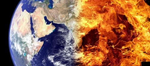 A new study suggests that the declining number of species is the sign of the 6th mass extinction on the planet. Image source: Pixabay