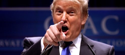 Donald Trump | Donald Trump speaking at CPAC 2011 in Washing&hellip; | Flickr - flickr.com