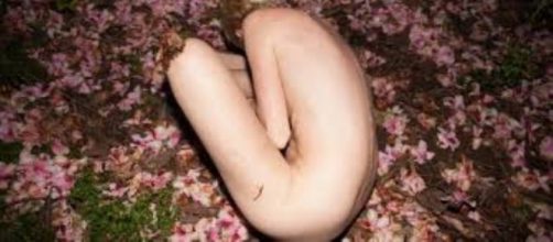 Czech Photographer Marie Tomanova FAIR USE wsbuzz.com Creative Commons