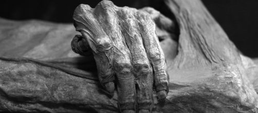 Detail of the Guanajuato mummies, Mexico. Photo taken at Museo de las Momias de Guanajuato by author Tomas Castelazo via Wikimedia Commons