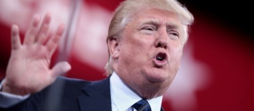 Donald Trump says eldest son is a "great person" in the wake of his Russian controversy. (Flickr/Gage Skidmore)