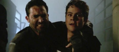 Teen Wolf trailer: Dylan O'Brien, Tyler Hoechlin, more return for ... [Image source: Pixabay.com]