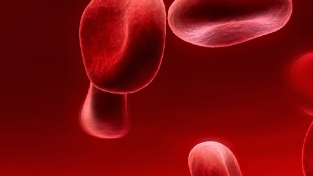 Cnr. Nuova tecnica rivela che i globuli rossi sono lenti di ... - notiziefree.it