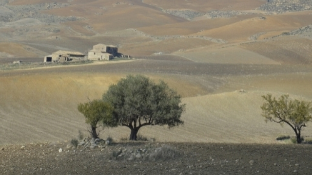 Le campagne semi-desertiche nei dintorni di Catenanuova