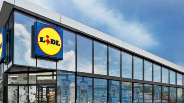 Lidl, offerte di lavoro a luglio.