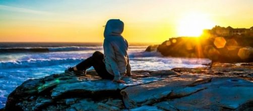 Santa Cruz beaches close following shark attack on kayaker. (Image Credit: egorshitikov/CC0 Pixabay)