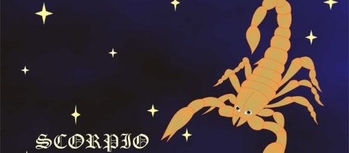 Scorpio - Free images on Pixabay - pixabay.com