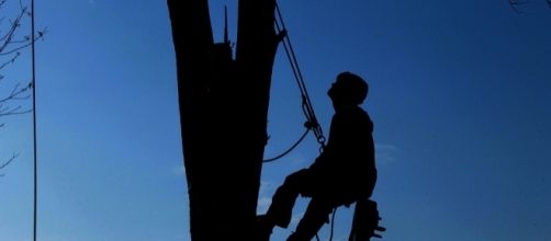 New ways to rethink education and labor. - image via Max Pixel at freegreatpicture.com