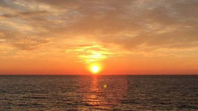 SL 100:1-2 "Mandate grida di gioia al Signore, abitanti di tutta la terra!" ph: Tiziano Liscio