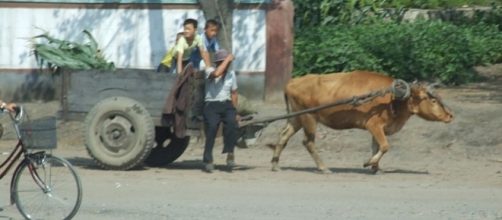 Everyday life in North Korea (credit &ndash; Nicor &ndash; wikimediacommons)