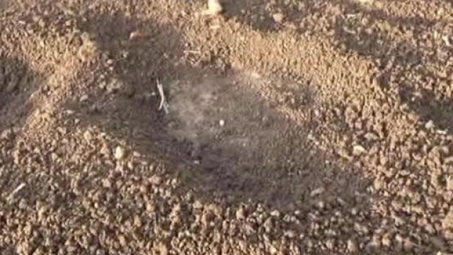 Alcune delle impronte trovate dai residenti