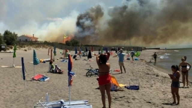 Incendio a Capalbio, evacuati 2 campeggi e uno stabilimento- (Fonte foto Ansa)