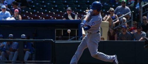 Bellinger in action, Flickr, Minda Haas Kuhlmann CC BY 2.0 https://www.flickr.com/photos/mindahaas/29449812316