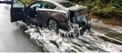 Thousands Of Slime Eels (Image via Depoe Bay Fire Dist/Twitter)