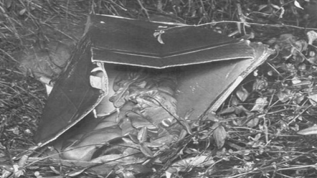 Misteri irrisolti: il caso 'Baby in the box'