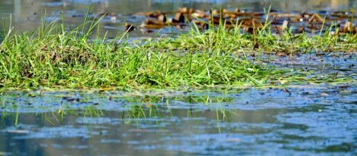 Residents are starting to panic due to the allegedly increase in toxins in the water found under power plant. [Image: Youtube Screen grab]