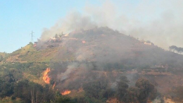 Nuovo incendio sulla collina degli Astroni-foto mia