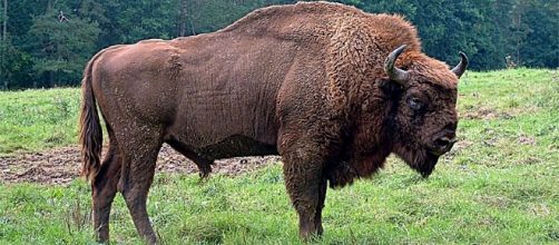 Antonio Diestro Quijano ClikyClik: octubre 2016 - blogspot.com