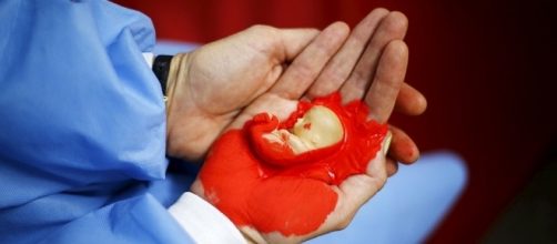 La C&aacute;mara Alta decide este martes la despenalizaci&oacute;n del aborto en Chile