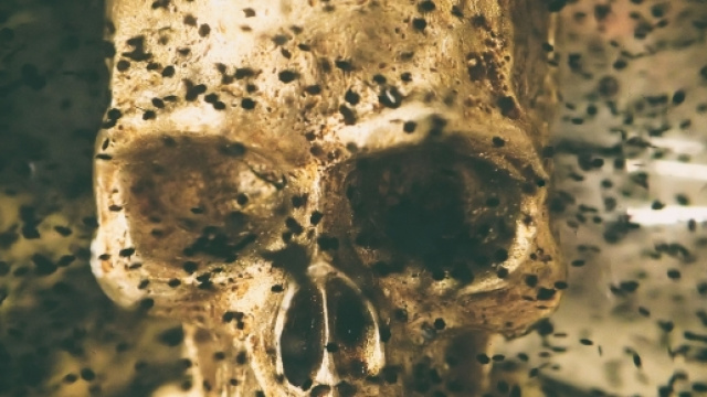 Copyright Endlesswatts. Classica espressione dell'immaginario Black.