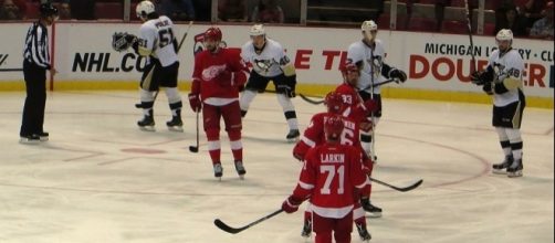 Detroit Red Wings (wikimedia.org)