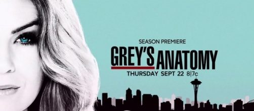 "Grey's Anatomy" Season 14 will introduce a brand new spinoff next year. (Source: Youtube/ABC)