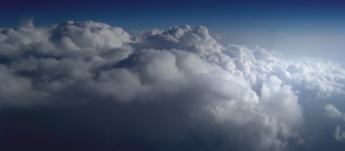 Image Credit: Wikimedia Commons