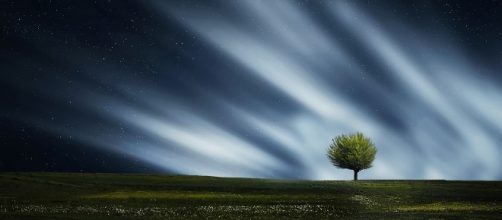 Inspiration - Image - pixabay.com