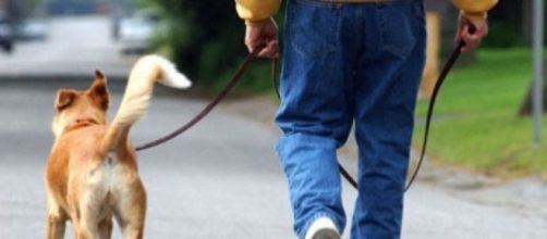 Problemas para pasear a tu perro? &iquest;O tu perro te pasea a ti? | Mascotas - facilisimo.com