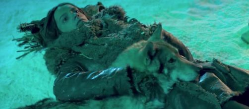 Smit-McPhee fights for survival in first "Alpha" trailer (Image Credit: news-falls.com)