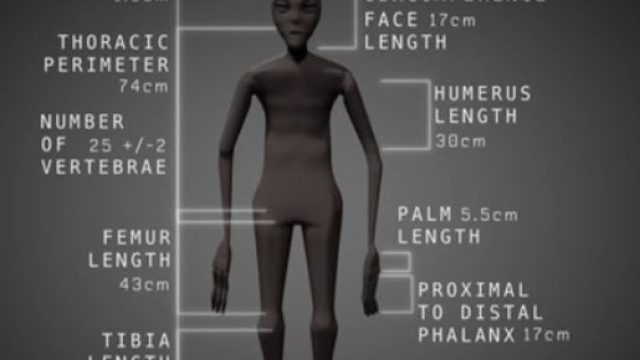 Immagine descrittiva della mummia aliena