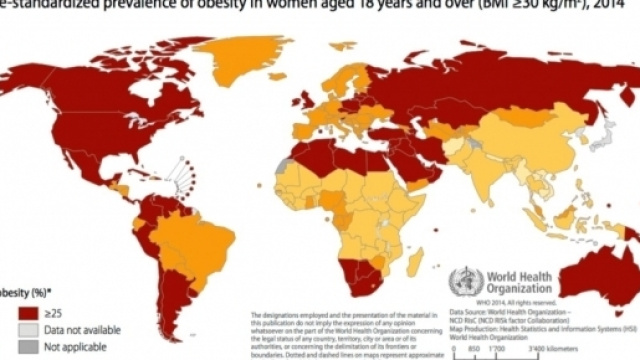 Uno studio della Stanford University ha determinato i paesi pi&ugrave; obesi del mondo