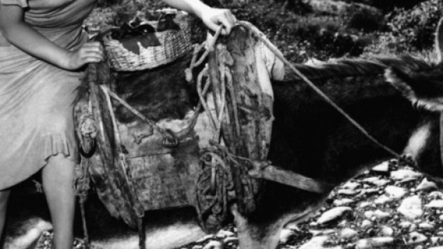 Gina Lollobrigida, la "Bersagliera", compie 90 anni ma lei non avverte il peso degli anni ed &egrave; pronta ad affrontare nuove battaglie giudiziarie.