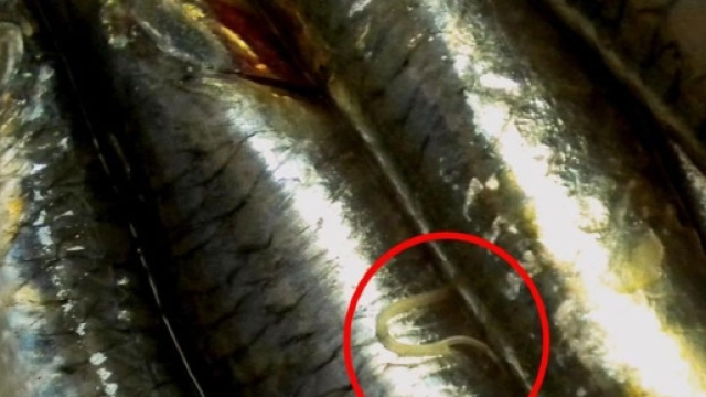 I rischi associati al consumo di pesce crudo