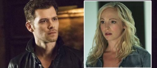 Klaus Mikaelson, de The Originals e Caroline Forbes, The Vampire Diaries. (Foto: Reprodu&ccedil;&atilde;o)