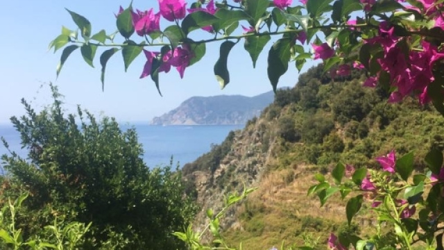 Il meraviglioso paesaggio di Corniglia