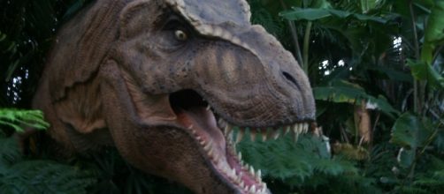 T.Rex could not sprint / Photo via Scott Kinmartin, Flickr