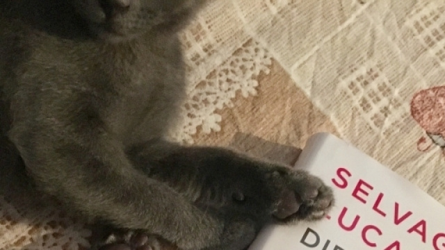 Dieci Piccoli Infami, il nuovo libro di selvaggia Lucarelli