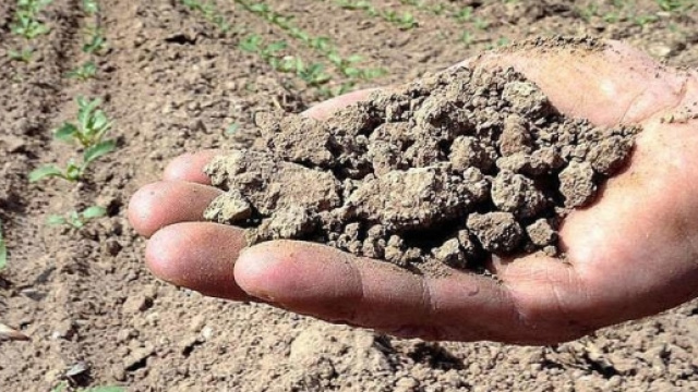 Emergenza siccit&agrave; in dieci regioni, danni per due miliardi
