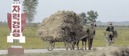 A cooperative Farm in North Korea (credit &ndash; Yeowatzup &ndash; wikimediacommons)