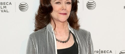 Attorney Kathleen Zellner Speaks Out on Melissa Calusinski's ... [Image source: Pixabay.com]