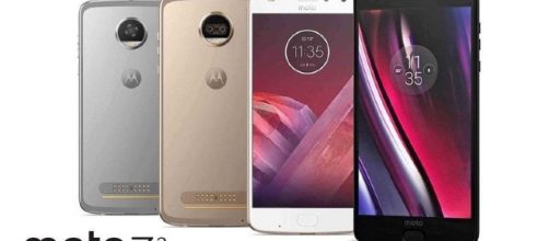 Motorola : Tech Times - techtimes.com