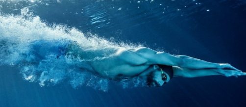 Renowned Olympian medalist, Michael Phelps, stars in a Shark Week swim-off against the infamous great white. (via WikiMedia/Flickr)