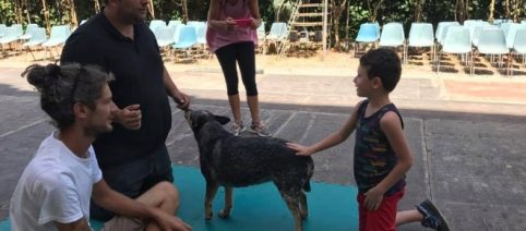 Il Paradiso a sei zampe: nuovo incontro per bimbi e amici pelosi